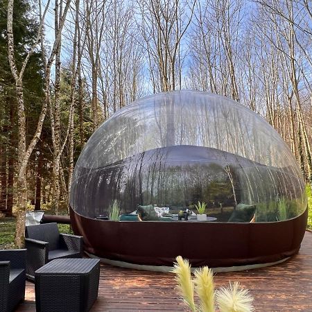 Logement Insolite "Bubble Jungle" Saint-Évarzec Exterior foto